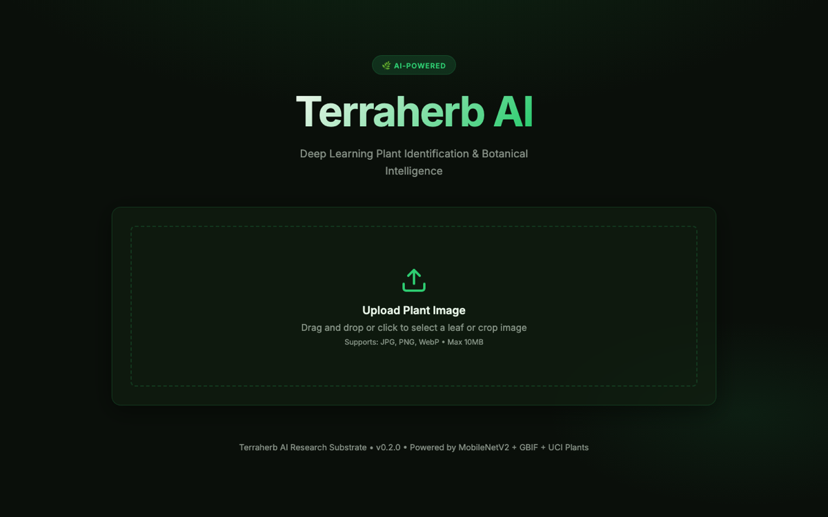 TerraHerb web app: dark-themed plant identification UI with drag-and-drop leaf image upload